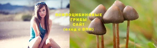 mdpv Беломорск