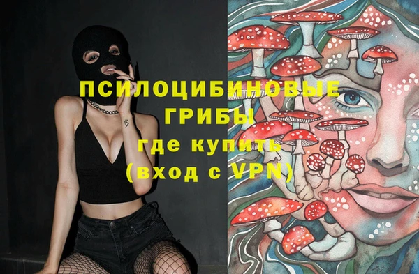 mdpv Беломорск