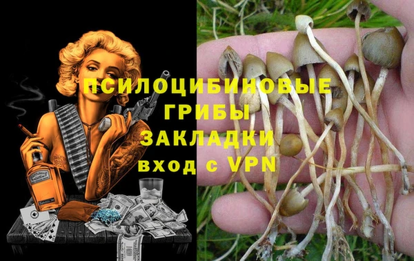 каннабис Белокуриха